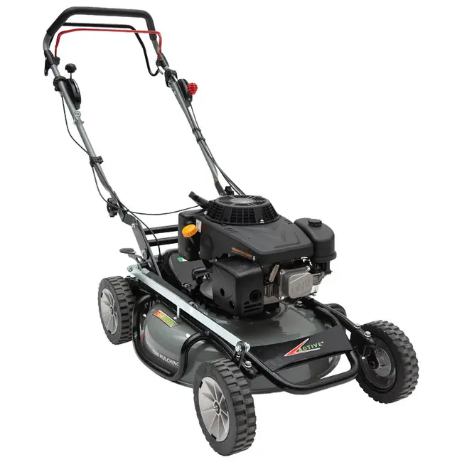 Tondeuse à gazon mulching Active 5500 SVA à vitesse réglable