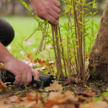 BAHCO BCL226 - Sécateur à batterie 26 mm pour la taille de branches fines et petites vignes