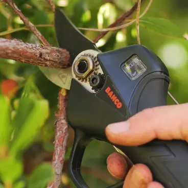 BAHCO BCL226 - Sécateur à batterie 26 mm pour la taille de branches fines et petites vignes
