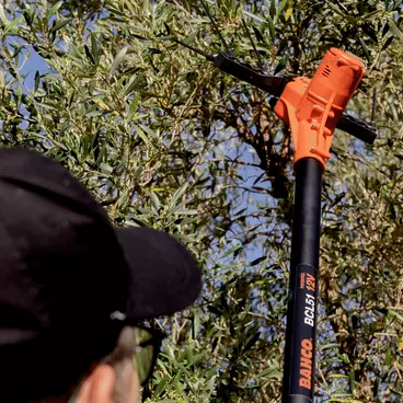 BAHCO BCL51 - Ébranleur d'olives à double mouvement 12 V