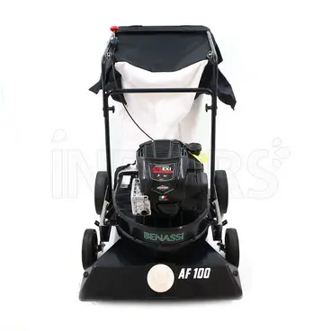 Benassi AF100 - Aspirateur à feuilles à pousser avec roues