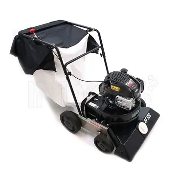 Benassi AF100 - Aspirateur à feuilles à pousser avec moteur Briggs et Stratton