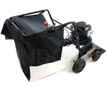 Benassi AF100 - Aspirateur à feuilles à pousser avec moteur Briggs et Stratton