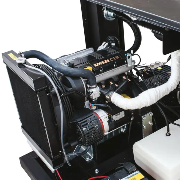 Moteur Kohler LDW 1003 Biemmedue Skid