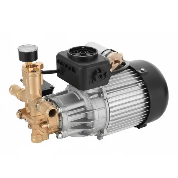 Nettoyeur haute pression à eau froide professionnel DeWalt DXPW 003H-QS 15842 - 190 bar 570 l/h