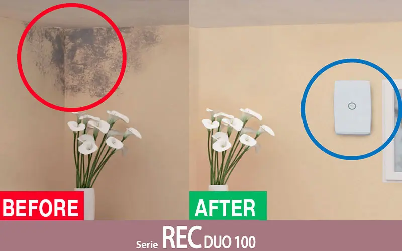 Elicent REC Duo 100 pour l'élimination de l'humidité dans les environnements résidentiels