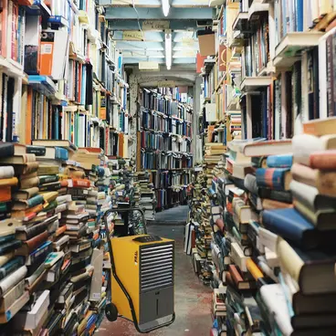 Fral FDNP33 - Déshumidificateur pour Archives et Bibliothèques