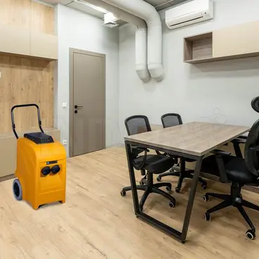 Fral Rotomoulded 50 - Déshumidificateur portable antichoc pour bureau