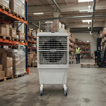 Fral EVC 80 - Refroidisseur évaporatif 180 m²