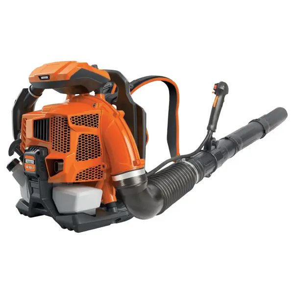 Souffleur de feuilles professionnel GreenLine GB 800 C