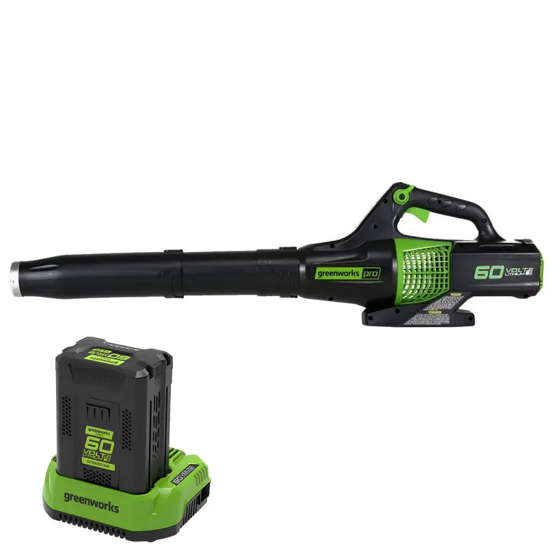 Souffleur de feuilles sans fil Greenworks GD60ABK4