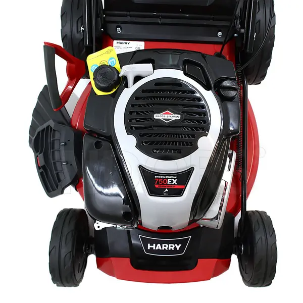 Harry HR 5500 SBQ - Tondeuse à gazon avec moteur Briggs & Stratton