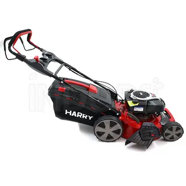 Harry HR 5500 SBQ - Tondeuse à gazon semi-professionnelle avec démarreur à rappel