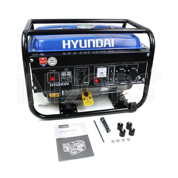 Équipement standard du générateur électrique Hyundai PT-3000 65122P