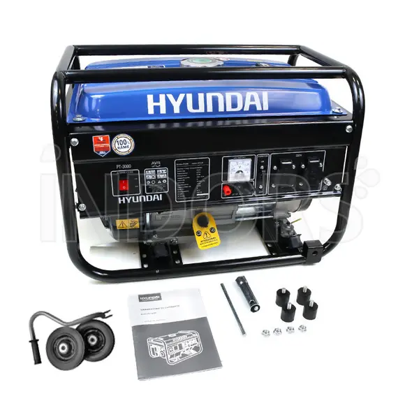 Équipement standard du générateur électrique Hyundai PT-3000 65122P