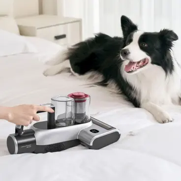 Aspirateur JIMMY BX6 Pro pour les personnes allergiques à la poussière et aux cheveux