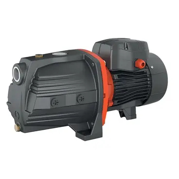 Leo AJM AJ - Pompes électriques auto-amorçantes pour l'irrigation des potagers et jardins