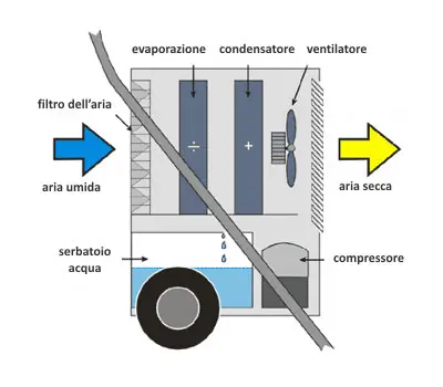 déshumidificateur professionnel maître