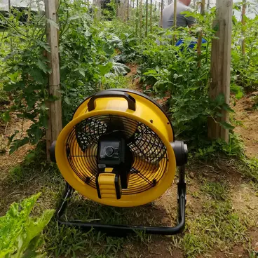 Ventilateur à piles Master DFB 16