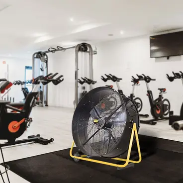 Master DF 20 P - Ventilateur portable professionnel pour salles de sport