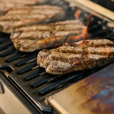 Masterbuilt Portable - Barbecue au charbon de bois portable, version mobile ou sur chariot
