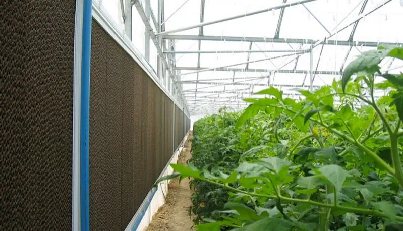 Panneau de refroidissement CELdek pour le refroidissement des serres
