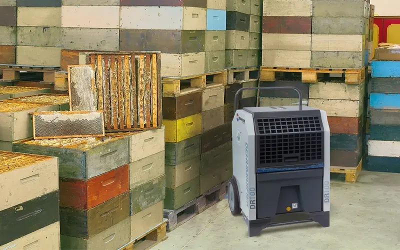Déshumidification de cave Biemmedue Dr 100