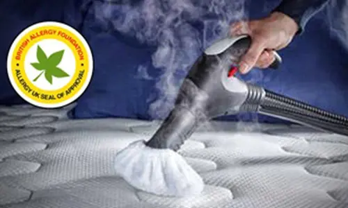 Polti Vaporetto Lecoaspira Fav 80 - Nettoyage de matelas
