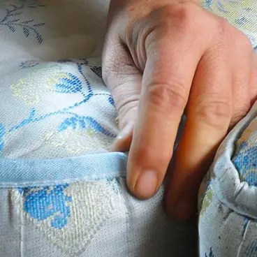 Polti Cime Eradicator Plus Désinfestation Élimination des Punaises de Lit