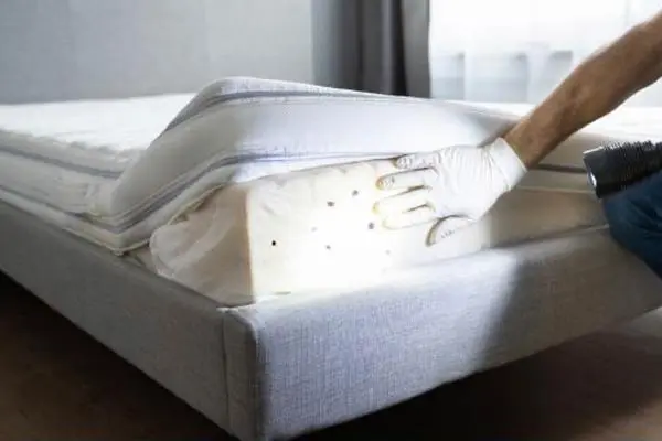 Polti Vaporetto Eco Pro Sani System Cimex Eradicator élimination des punaises de lit