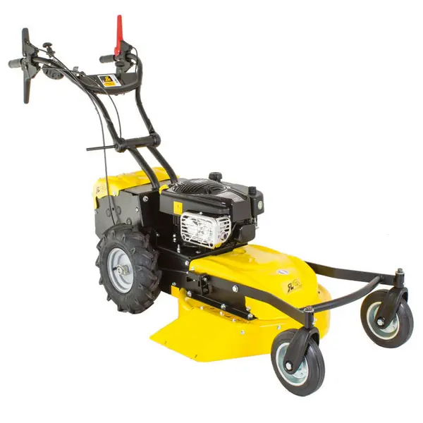 Roques et Lecoeur RL 210 RL - Tondeuse thermique professionnelle 53 cm