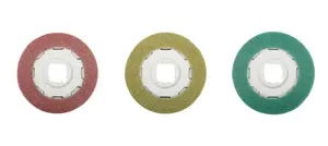 Disques en option pour SEBO DART
