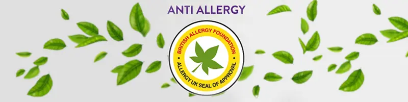 Nettoyant tapis et balai électrique anti-acariens et anti-allergie Sebo Dart 2