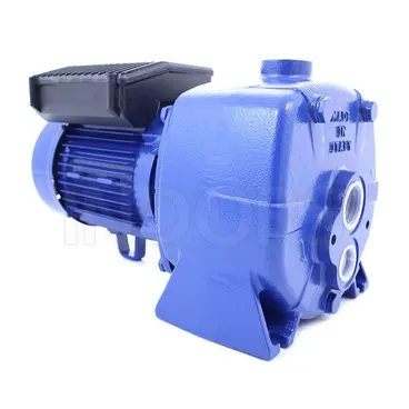 pompe auto-amorçante arrière pour aspiration profonde Speroni APM 200