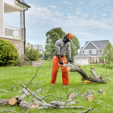 Stihl MSA 60 - Tronçonneuse 36V avec guide 30 cm, kit batterie et chargeur inclus