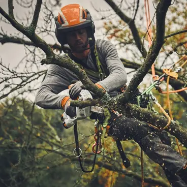 Stihl GTA 40 Élagueuse à chaîne à batterie