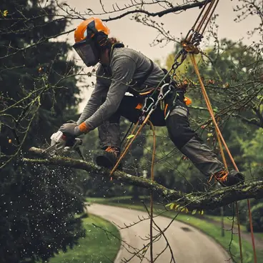 Stihl GTA 40 Élagueuse à chaîne à batterie