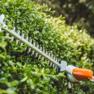Stihl HLA 56 SET - Taille-haies extensible sur batterie avec batterie AK 20 + chargeur AL 101 inclus