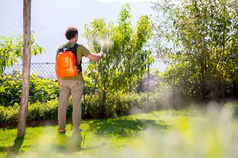 Domaine d'application Pompe à dos électrique Stocker Ergo 12 L - 21 V