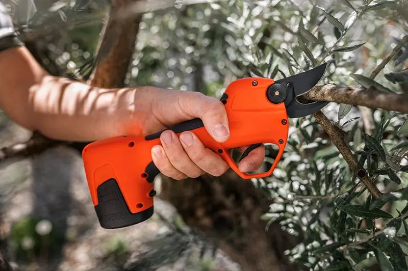 Champ d'application Stocker Vulcano E-25 TR - Ciseaux à batterie sans balais