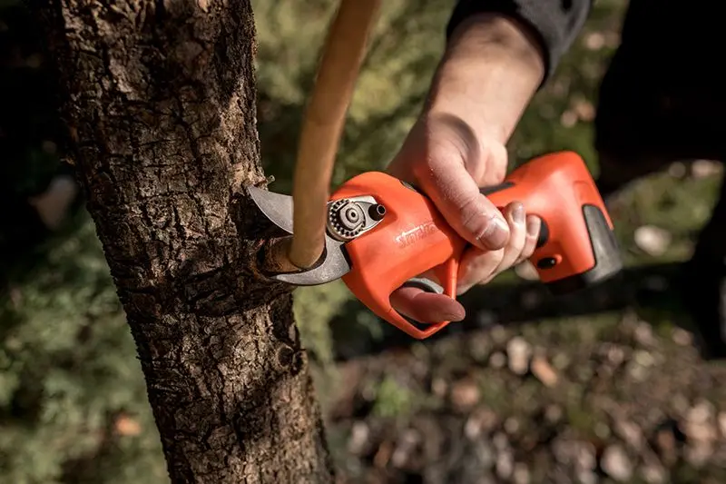 Stocker Vulcano E-30 TP - Ciseaux à batterie sans balais 150 W progressifs et automatiques