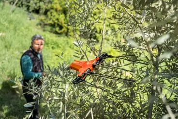 Stocker 629 - Kit promotionnel pour récolteuse d'olives