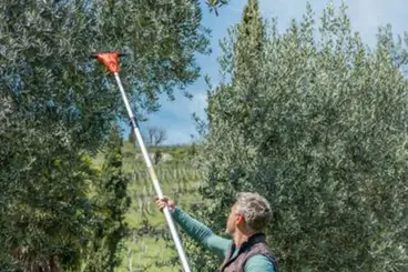 Stocker 629 - Kit promotionnel pour récolteuse d'olives télescopique