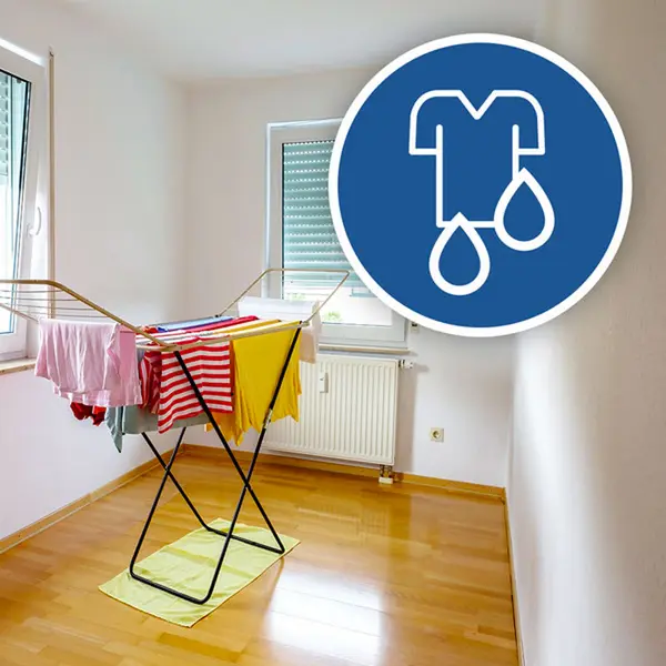 Trotec TTK 66 ECO 1.120.000.054 - Déshumidificateur pour le séchage des vêtements délicats