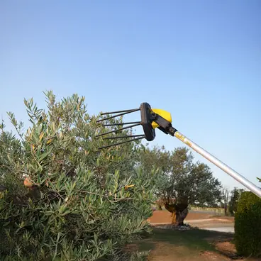 Volpi Giulivo Plus 705XL - Peigne à olives semi-professionnel à batterie 12 V