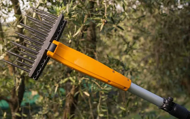 Volpi Olytech Dualcomb 13 - Taille-haie télescopique à batterie modèle 355XL