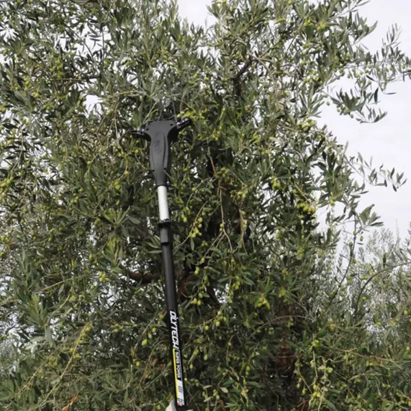 Volpi Olytech Super Power 555XL - Vibreur professionnel 12/24 V pour olives