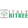 Italy Bitree